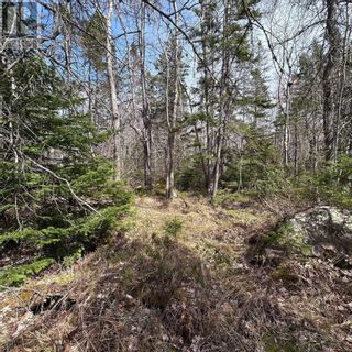 Photo 12: Lot 4 Port Medway Road in Port Medway: Vacant Land for sale : MLS®# 202307644