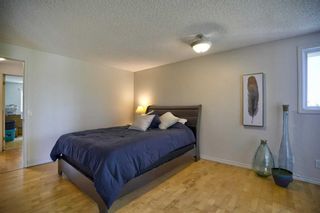 Photo 29: 16 Brenner Place NW in Calgary: Brentwood Detached for sale : MLS®# A2136183