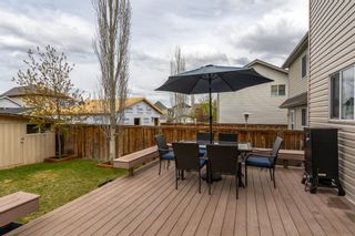 Photo 33: 45 Copperfield Heath SE in Calgary: Copperfield Detached for sale : MLS®# A1217709
