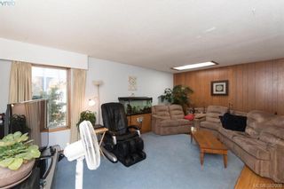 Photo 20: 1174 Craigflower Rd in VICTORIA: Es Kinsmen Park Full Duplex for sale (Esquimalt)  : MLS®# 769477