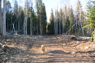Photo 22: DL 811 16 Highway in New Hazelton: Hazelton Land for sale in "New Hazelton @ Carnaby" (Smithers And Area (Zone 54))  : MLS®# R2679366