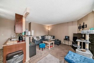Photo 2: 203 409 1 Avenue NE in Calgary: Crescent Heights Apartment for sale : MLS®# A2127092