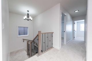 Photo 23: 208 Homestead Grove NE in Calgary: C-686 Detached for sale : MLS®# A2118456