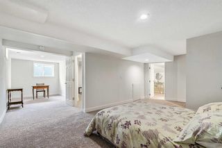 Photo 31: 123 Canterville Drive SW in Calgary: Canyon Meadows Detached for sale : MLS®# A2121160