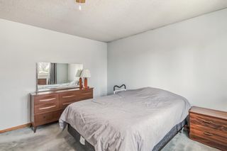 Photo 16: 3020 Rundleside Drive NE in Calgary: Rundle Detached for sale : MLS®# A2044879
