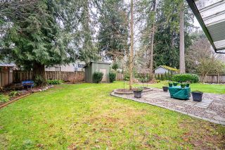 Photo 18: 20318 40A Avenue in Langley: Brookswood Langley House for sale : MLS®# R2747953