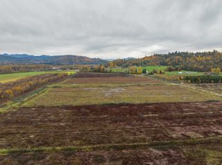 Photo 9: 8201 DYKE Road in Abbotsford: Bradner Agri-Business for sale : MLS®# C8055761