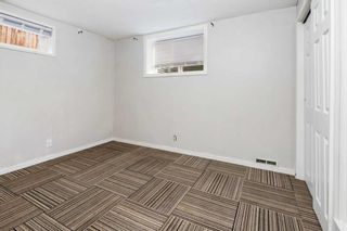 Photo 31: 2432 36 Street SE in Calgary: Forest Lawn Detached for sale : MLS®# A2132012