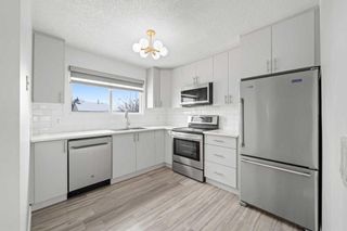 Photo 9: 7 Whitmire Road NE in Calgary: Whitehorn Detached for sale : MLS®# A2117955