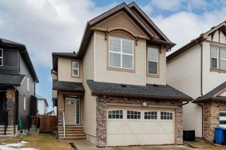 Main Photo: 27 Skyview Shores Road NE in Calgary: Skyview Ranch Detached for sale : MLS®# A2111035