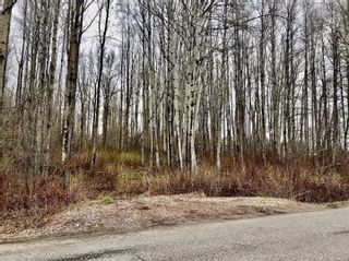 Photo 2: 5403 CRANBROOK HILL Road in Prince George: Cranbrook Hill Land for sale in "CRANBROOK HILL" (PG City West (Zone 71))  : MLS®# R2689571