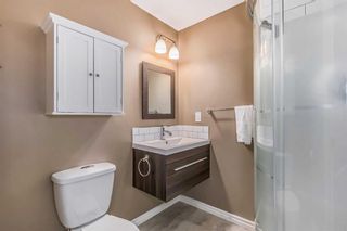 Photo 38: 2174 Hillcrest Green SW: Airdrie Detached for sale : MLS®# A2062913