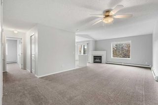 Photo 7: 305 5305 Valleyview Park SE in Calgary: Dover Apartment for sale : MLS®# A2059971