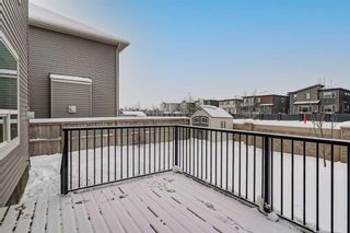Photo 44: 161 Rainbow Falls Heath: Chestermere Detached for sale : MLS®# A2125718