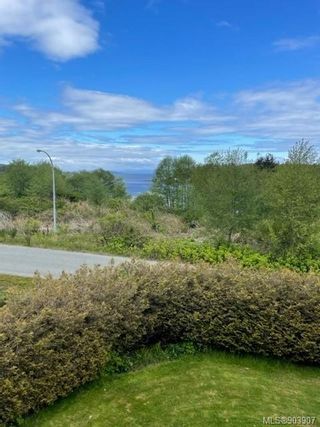 Photo 3: 6175 Hunt St in Port Hardy: NI Port Hardy Land for sale (North Island)  : MLS®# 903907