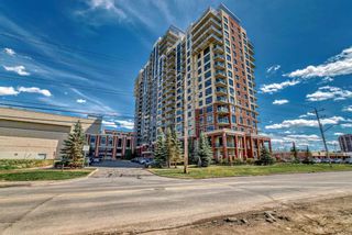 Photo 44: 1009 8880 Horton Road SW in Calgary: Haysboro Apartment for sale : MLS®# A2132832