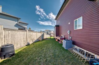 Photo 43: 207 Citadel Meadow Grove NW in Calgary: Citadel Detached for sale : MLS®# A2131030