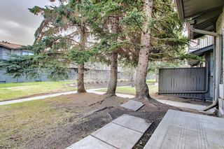 Photo 48: 161 7172 Coach Hill Road SW in Calgary: Coach Hill Row/Townhouse for sale : MLS®# A1101554