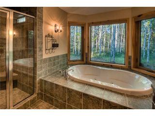 Photo 13: # 33263 Range Road 52 in SUNDRE: Rural Mountain View County Residential Detached Single Family for sale : MLS®# C3547595