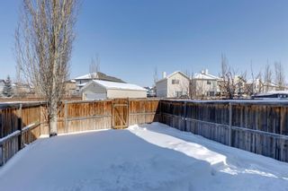 Photo 26: 505 Cranston Drive SE in Calgary: Cranston Semi Detached (Half Duplex) for sale : MLS®# A2030708