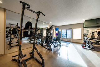Photo 22: 219 30 Discovery Ridge Close SW in Calgary: Discovery Ridge Apartment for sale : MLS®# A2091378