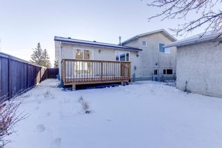 Photo 37: 120 Rundlecairn Rise NE in Calgary: Rundle Detached for sale : MLS®# A1167955