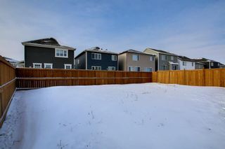 Photo 40: 133 Osborne Common: Airdrie Detached for sale : MLS®# A1170383