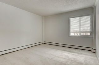 Photo 24: 32B 231 Heritage Drive SE in Calgary: Acadia Apartment for sale : MLS®# A1172862