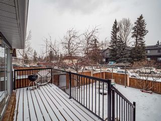 Photo 27: 4632 77 Street NW in Calgary: Bowness Detached for sale : MLS®# A1189686