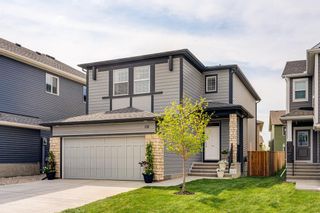 Main Photo: 131 Legacy Heights SE in Calgary: Legacy Detached for sale : MLS®# A2054627