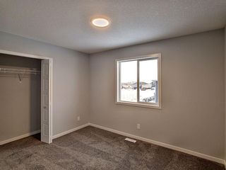 Photo 20: 62 Creekside Avenue SW in Calgary: C-168 Detached for sale : MLS®# A1178097