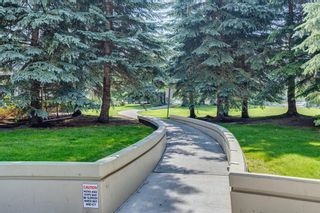 Photo 26: 1006 1108 6 Avenue SW in Calgary: Downtown West End Apartment for sale : MLS®# A2064472