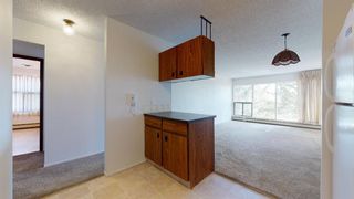 Photo 9: 301 75 Temple Boulevard W: Lethbridge Apartment for sale : MLS®# A2034020