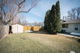 Photo 13: 122 Deloraine Drive in Winnipeg: Crestview Residential for sale (5H)  : MLS®# 202109005