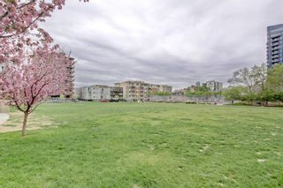 Photo 29: 101 215 13 Avenue SW in Calgary: Beltline Apartment for sale : MLS®# A1075160