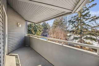Photo 25: 275 4037 42 Street NW in Calgary: Varsity Row/Townhouse for sale : MLS®# A2114781