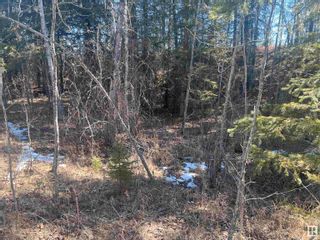 Photo 11: 4-23-63-17 SE: Rural Athabasca County Vacant Lot/Land for sale : MLS®# E4383613