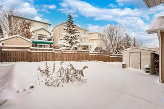 Photo 44: 28 Arbour Crest Rise NW in Calgary: Arbour Lake Detached for sale : MLS®# A2028447