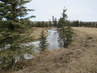 Photo 14: 33146 Range Road 62: Rural Mountain View County Detached for sale : MLS®# A1201666