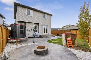 Photo 37: 12 Cranberry Gardens SE in Calgary: Cranston Detached for sale : MLS®# A2137015