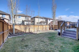 Photo 38: 3436 26A Street SE in Calgary: Dover Detached for sale : MLS®# A1212972