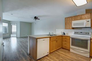 Photo 18: 205 305 1 Avenue NW: Airdrie Apartment for sale : MLS®# A2014061