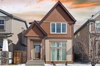 Main Photo: 160 Skyview Point Green NE in Calgary: Skyview Ranch Detached for sale : MLS®# A2113645