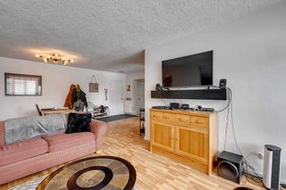 Photo 8: 407 3232 Rideau Place SW in Calgary: Rideau Park Apartment for sale : MLS®# A2115820