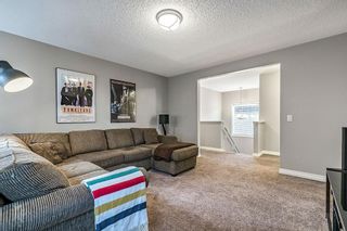 Photo 24: 17 Masters Park SE in Calgary: Mahogany Detached for sale : MLS®# A2013887
