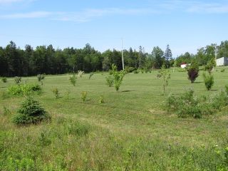 Photo 25: 3750 Black Rock Road in Whites Corner: 404-Kings County Residential for sale (Annapolis Valley)  : MLS®# 202016541