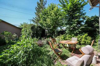 Photo 44: 348 Redwood Avenue in Winnipeg: North End Residential for sale (4A)  : MLS®# 202304174