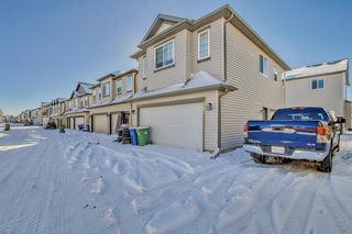 Photo 27: 1076 Channelside Drive SW: Airdrie Detached for sale : MLS®# A2011964