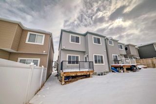 Photo 47: 252 Nolanhurst Crescent NW in Calgary: Nolan Hill Detached for sale : MLS®# A2117718