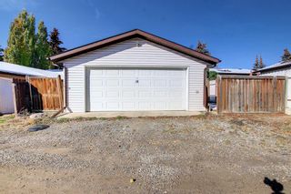 Photo 35: 14 Sunnyside Place SE: Airdrie Detached for sale : MLS®# A2009044